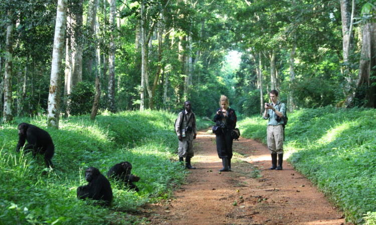 2022 List of Forests in Uganda