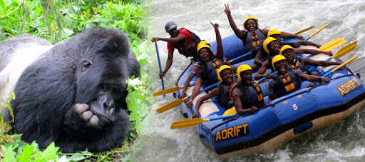 6 Days Jinja & Bwindi Gorilla Trekking Safari