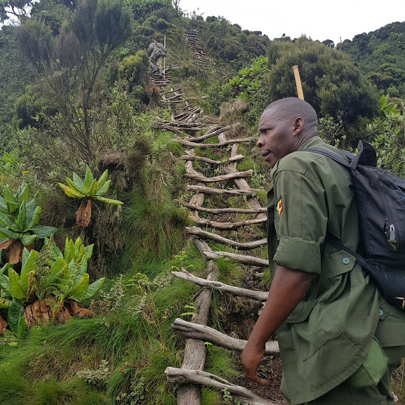 5 Days Gorilla trekking and Mount Sabinyo hike
