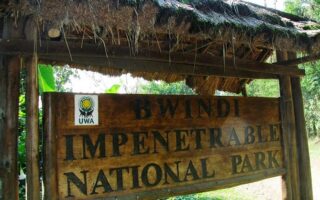 Entrance Fees to Bwindi Impenetrable National Park 2021