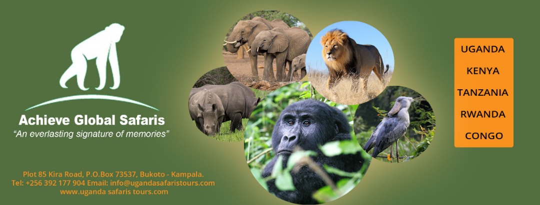 UWA at 25: Achieve Global Safaris offers