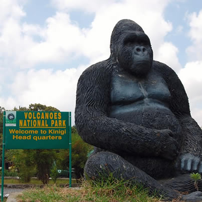 National Parks in Rwanda