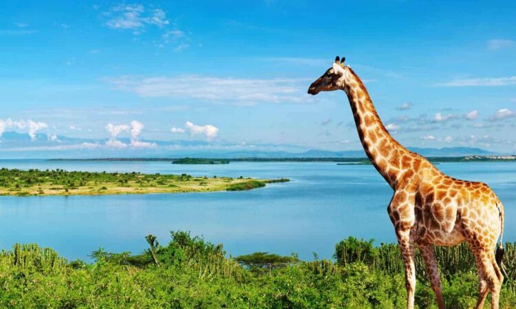 5 Facts about Uganda