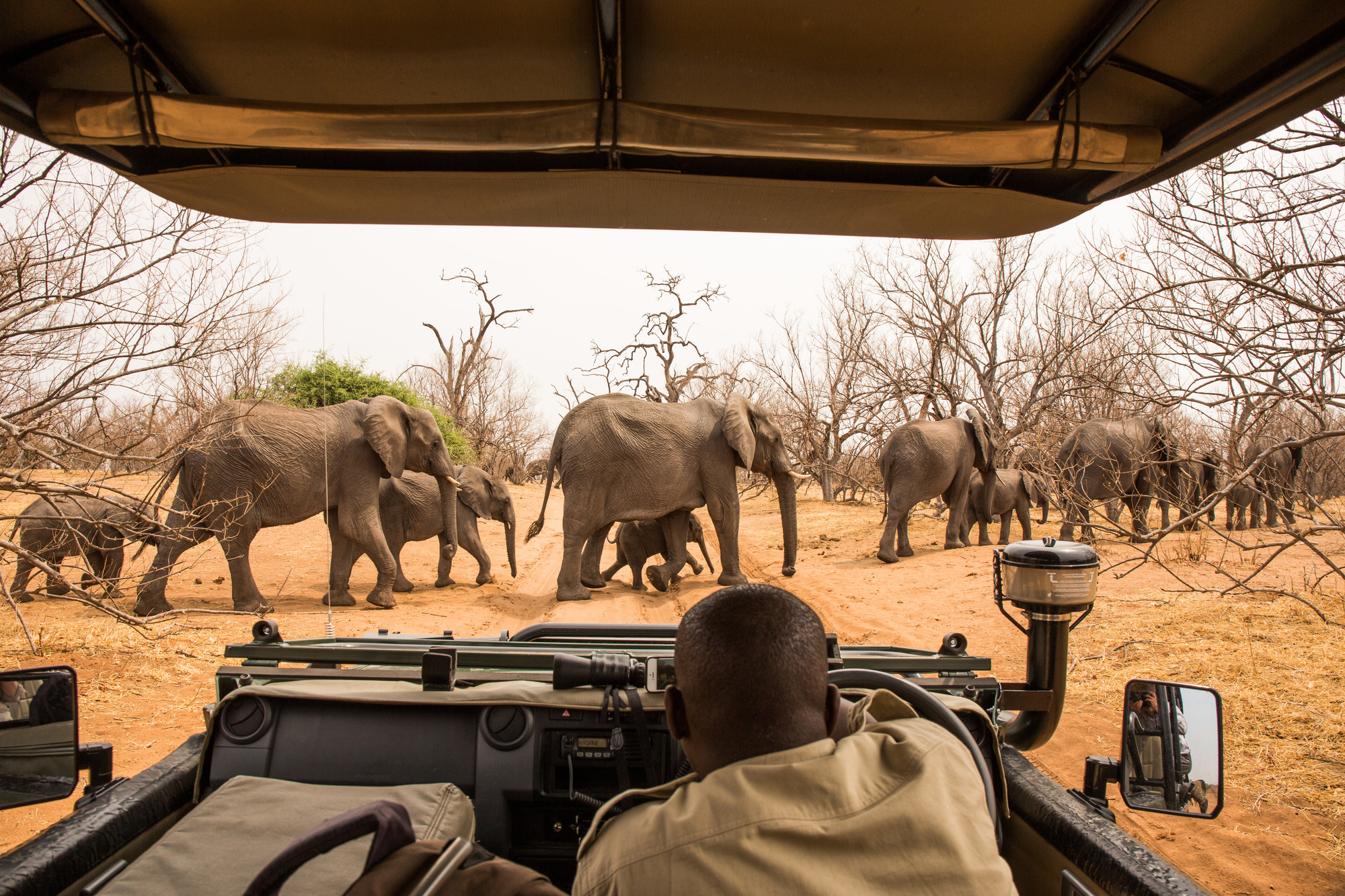 Road vs Air safari