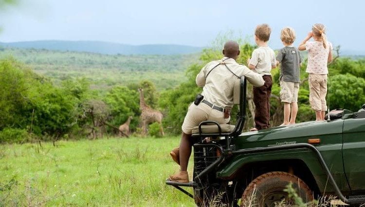 Relaxing activities on a safari