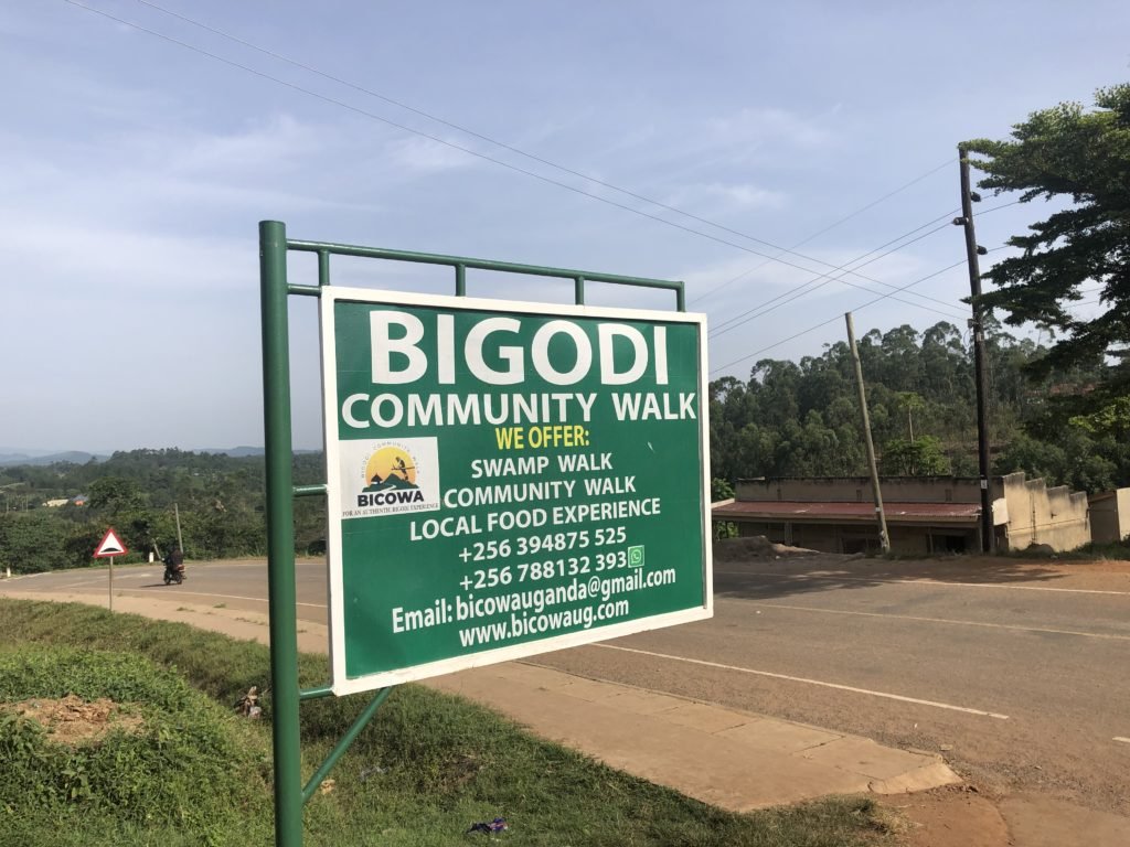 Activities to do Bigodi swamp 